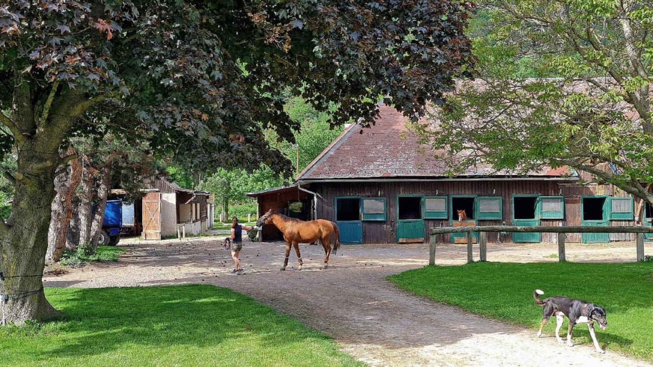 Muehle In Der Pferdewelt Reichenau Appartement Buitenkant foto