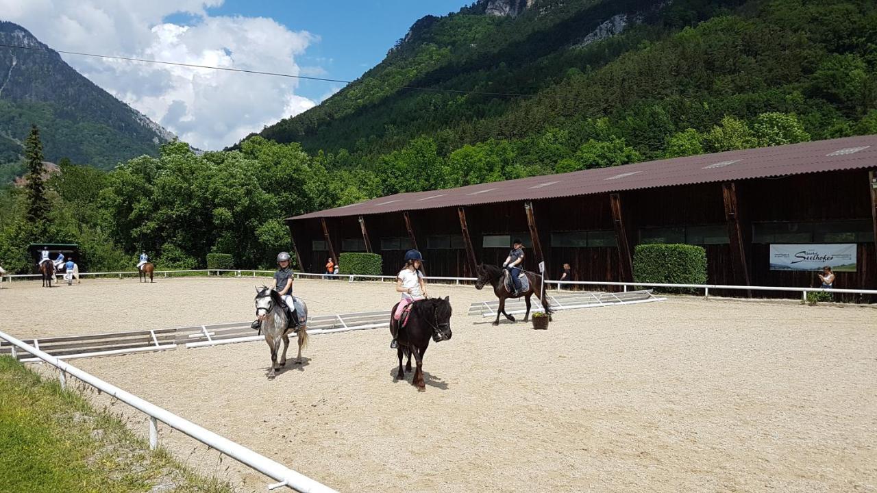 Muehle In Der Pferdewelt Reichenau Appartement Buitenkant foto