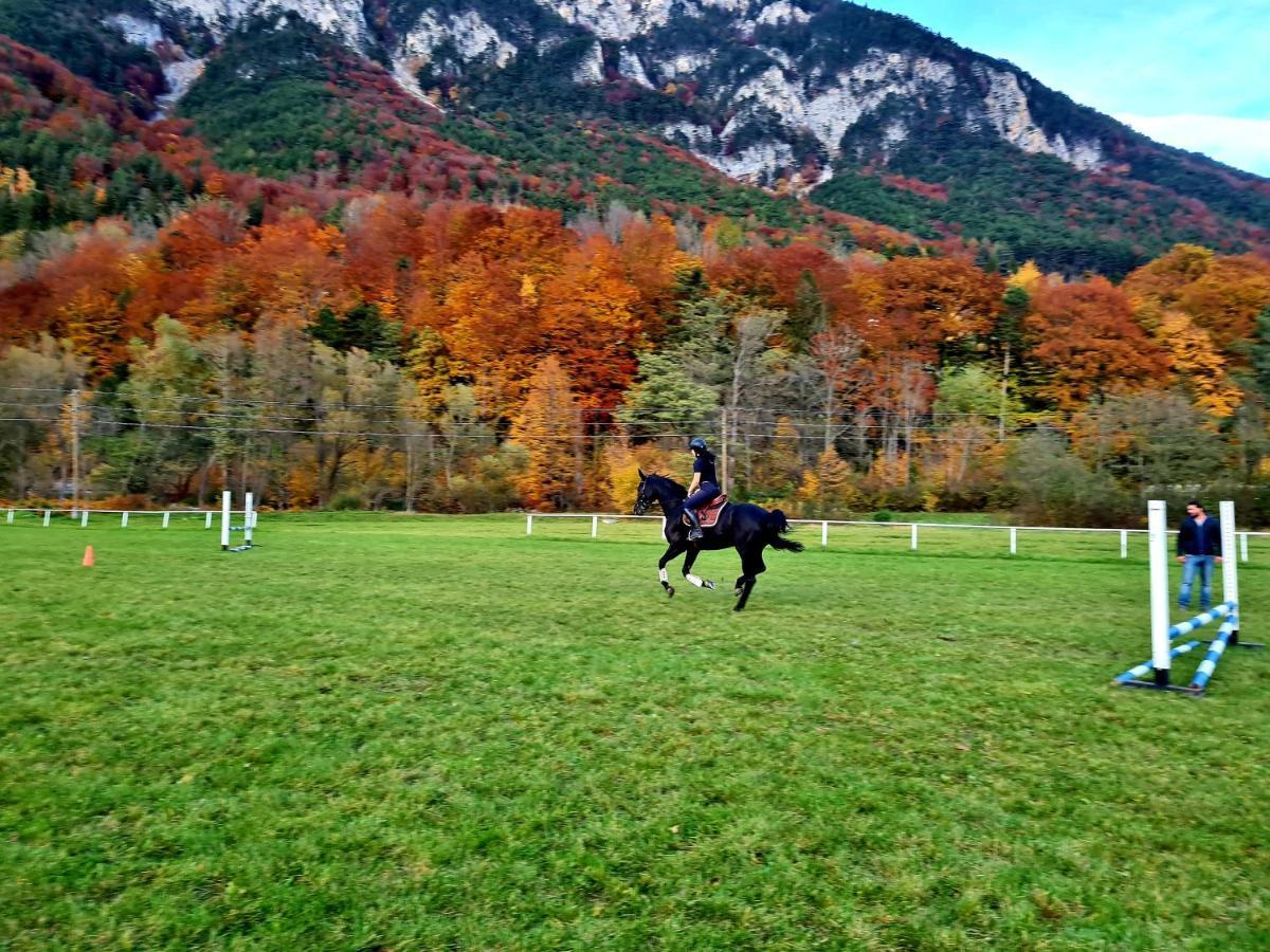 Muehle In Der Pferdewelt Reichenau Appartement Buitenkant foto