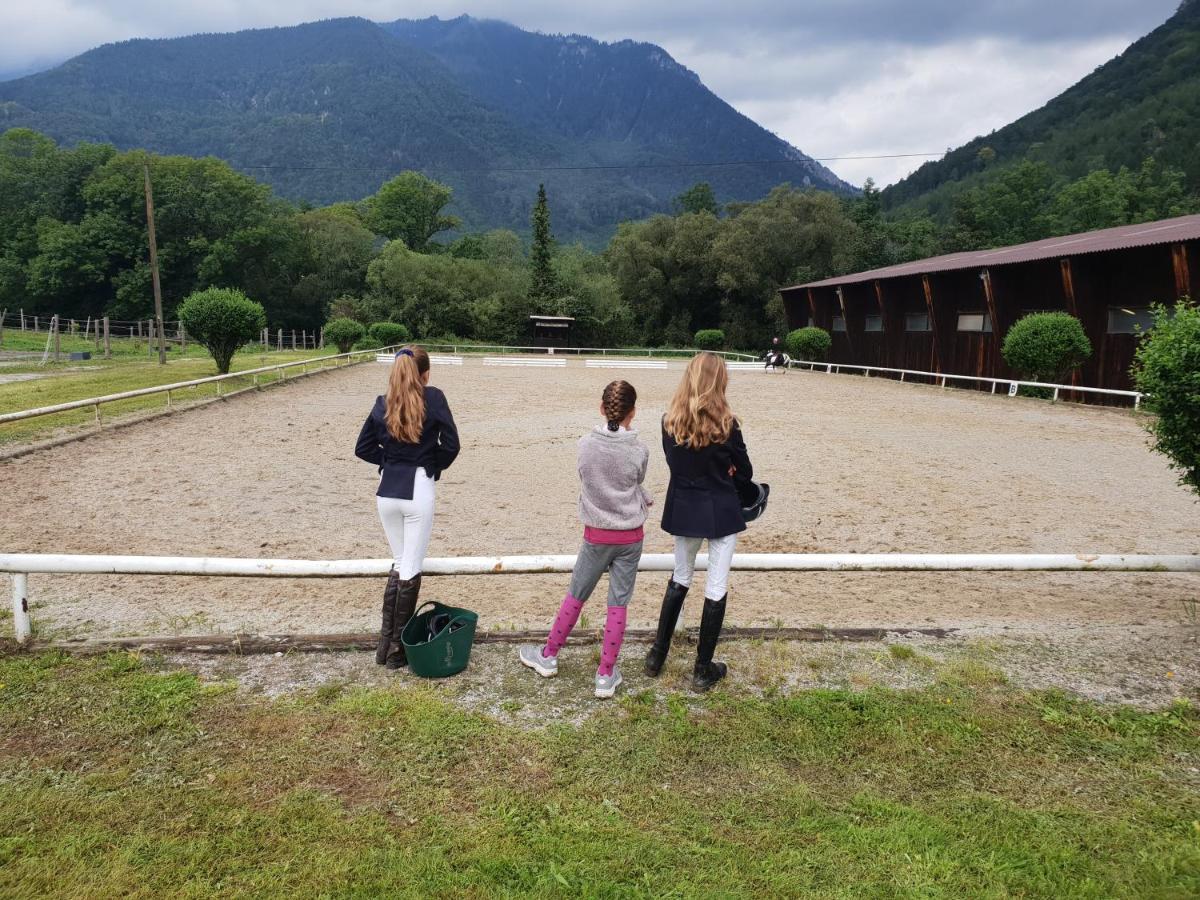 Muehle In Der Pferdewelt Reichenau Appartement Buitenkant foto