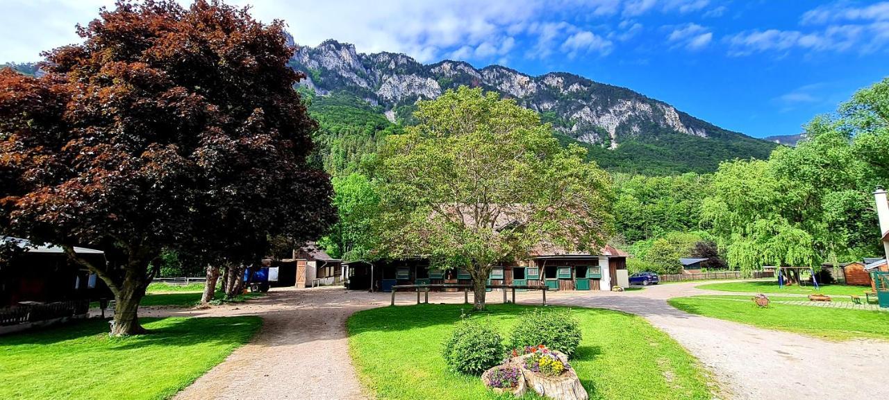 Muehle In Der Pferdewelt Reichenau Appartement Buitenkant foto