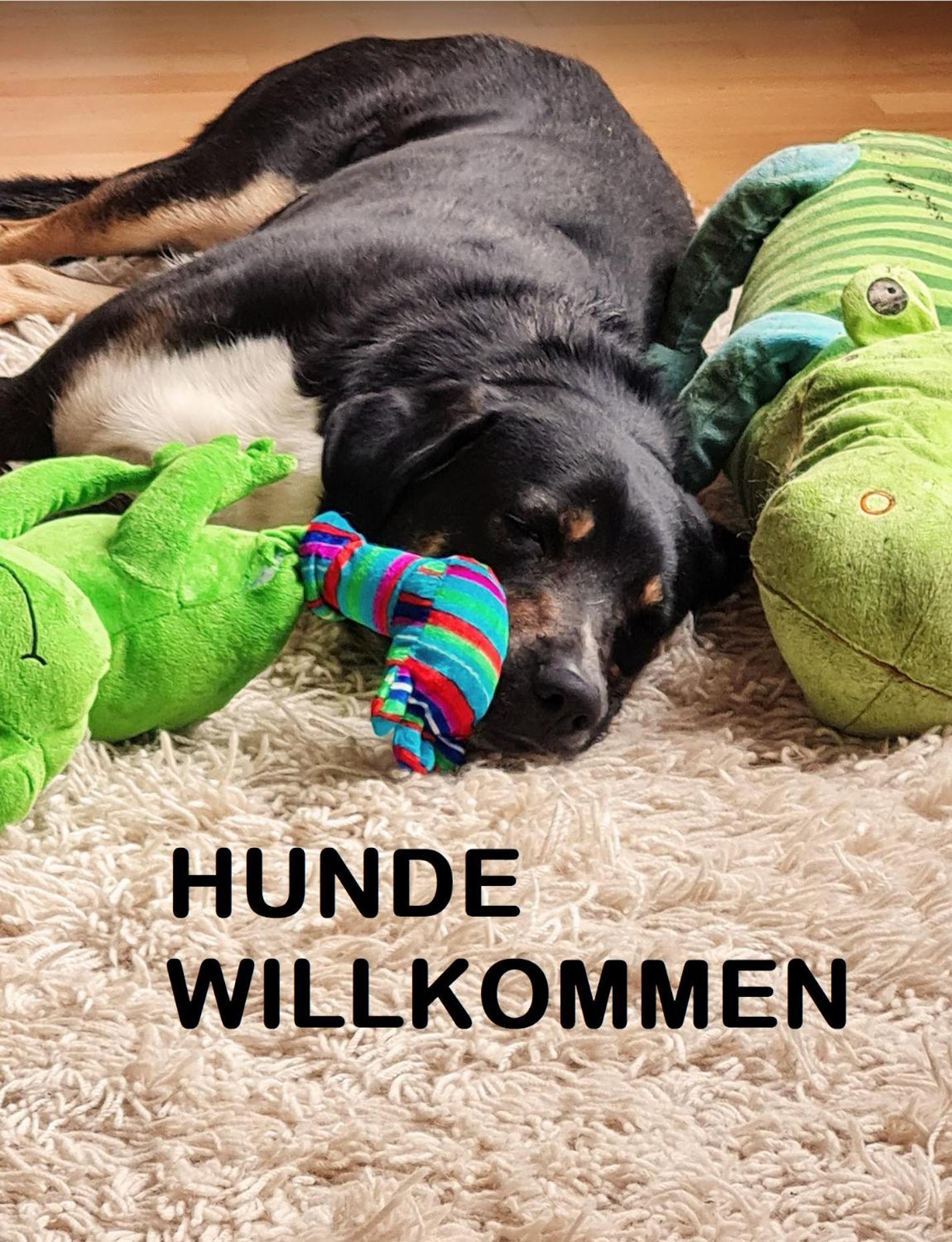 Muehle In Der Pferdewelt Reichenau Appartement Buitenkant foto